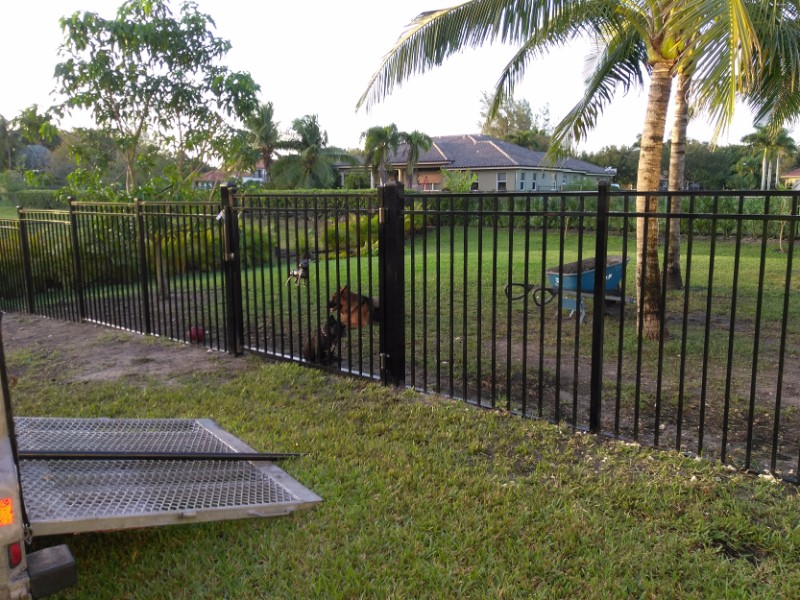 metal pool fence