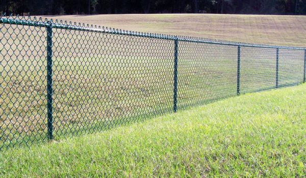 new chain link fence for dogs